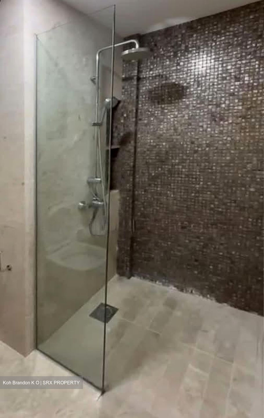 La Fiesta (D19), Condominium #598072471